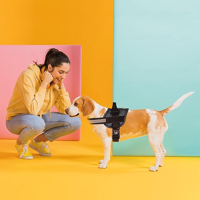 Dogline Dog Harness, Reflective No-Pull Adjustable Vest with Handle for Walking, Training, Breathable, No - Choke Harness for Small, Medium or Large Dogs Room for Patches Girth 27 to 34 in Black