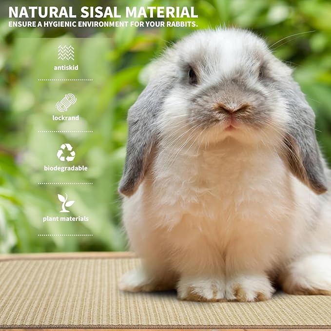 2Pcs Rabbit Scratch Mat,16 x 12 Inch Sisal Rabbit Scratching Pad,Rabbits Scratching Mats for Cages,Claws and Teeth Care Rabbits Chew Toys,Small Pet Bedding for Biting Sleeping Nesting