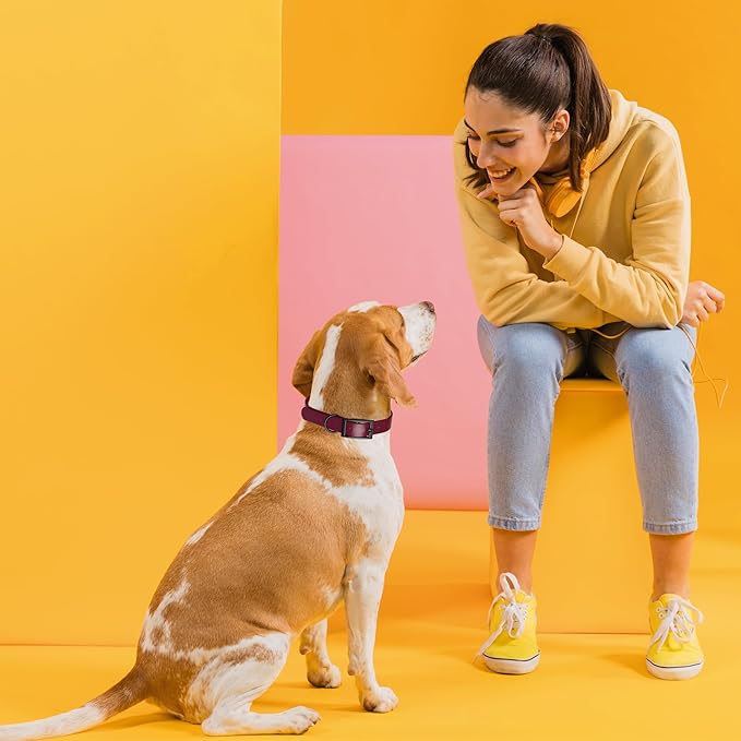 Dogline Biothane Waterproof Dog Collar Strong Coated Nylon Webbing with Black Hardware Odor- Proof for Easy Care Easy to Clean High Performance Fits Small Medium or Large Dogs, Merlot Burgundy