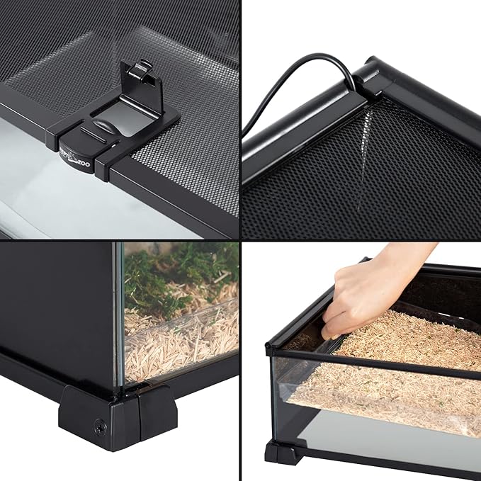 REPTIZOO Small Reptile Tank 20" x 12" x 6" Glass Reptile Terrarium with Top Feeding Habitat for Snake Spider