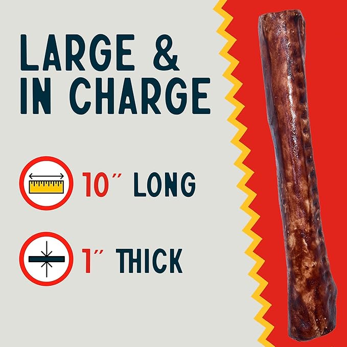 Canine Chews 10" Beef Basted Rawhide Bones for Large Dogs - 20 Pack - Hand-Rolled Dog Chews Basted in Beef Broth - Promotes Dental Health