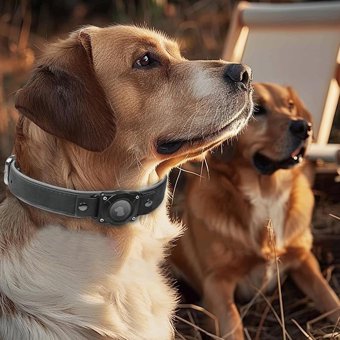 AirTag Dog Collar - Leather Dog Collar with Air Tag Holder | IPX8 Waterproof, Reflective, High - End, Adjustable Soft Padded | Dog GPS Tracker Collars Fit for Medium Large Dogs (Black, L)