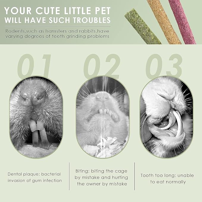 ERKOON Timothy Hay Sticks,Rabbit Chew Toys for Teeth Natural Molar Sticks Rabbits Treats for Bunnies, Chinchilla Guinea Pigs, Gerbil, Hamster (50 Pcs)