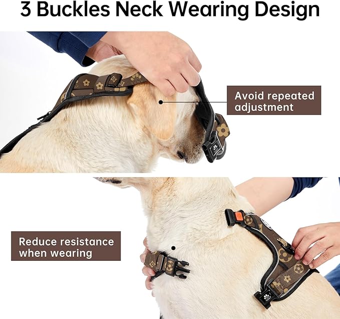 IVY&LANE No Pull Dog Harness with Leash Set, Reflective No Choke Pet Vest,Adjustable Oxford Dog Vest Harness with Easy Control Handle for Small Dogs (Dark Brown,S)