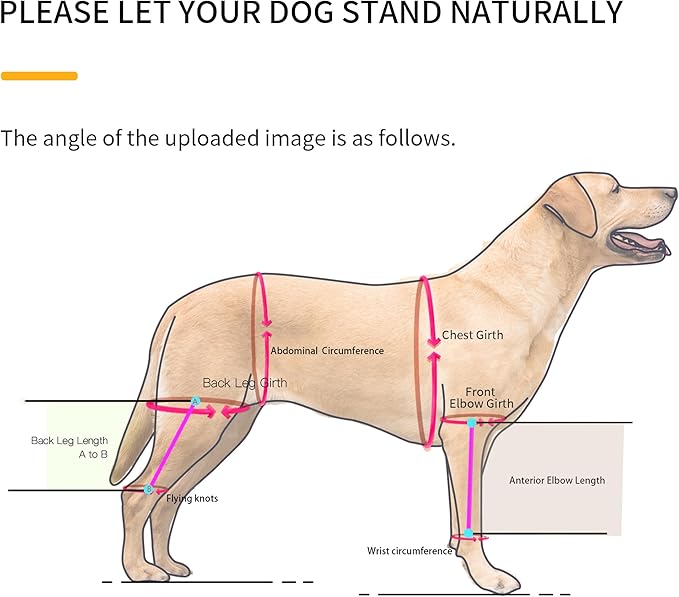 Dog Hip Support Brace – Rear Leg Lift Harness for Mobility & Post-Surgery Recovery, with Chest Straps and Adjustable Elastic Buckles, Customization