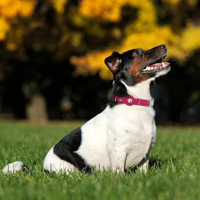 AirTag Dog Collar for Small Medium Large Breed - Adjustable Cute Pattern Dog Collar with Airtag Holder - Soft Leather Tracker GPS Apple Air Tag Pet Collars (Large, 17"-21" Neck Fit, Striped)