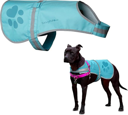 Dog Reflective Vest – Hi-Vis Fluorescent Visibility That Helps to Safeguard Your Pet On/Off Leash in Urban & Rural Areas (Teal, Medium)