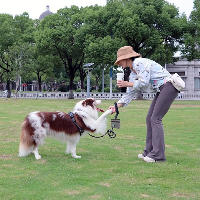 COOWONE Dog Treat Pouch with Pet Training Clicker, Detachable Dog Puppy Training Treat Bag, 900D Oxford Cloth Magnetic Closure Small Dog Poop Bag Holder for Travel or Outdoor Use
