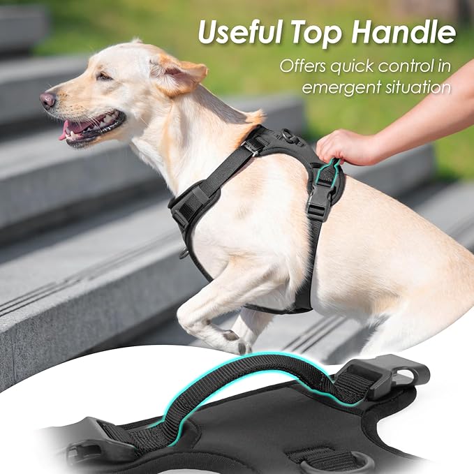 No Pull Dog Harness, Puppy Vest with Front Clip for Small Medium Large Sized Dog(Black,S)