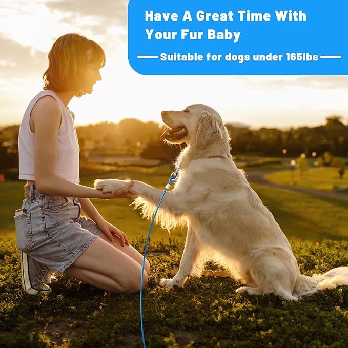 Dog Tie Out Cable 10/15/20/25/30 FT Runner for Yard Steel Wire Cable with Durable Superior Clips Blue Chains for Outside Dog Lead for Large Up to 165 Lbs