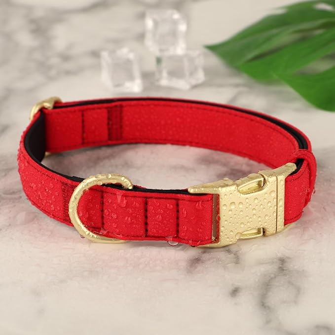 Didog Soft Padded Dog Collars for Small Dogs, Colorful and Durable Dog Collar with Quick Release Buckle, Light and Breathable for Daily Walking, Red, S