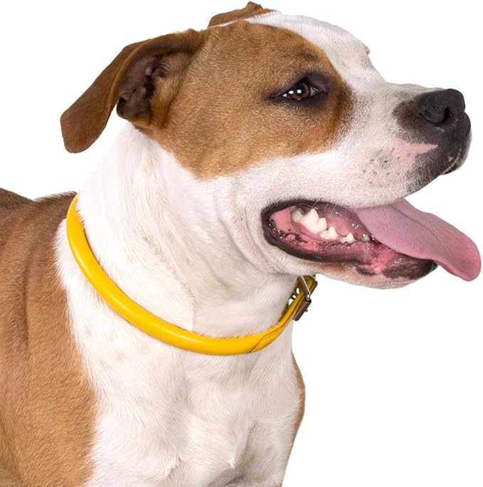 CollarDirect Rolled Leather Dog Collar, Soft Padded Round Puppy Collar, Handmade Genuine Leather Collar Dog Small Large Cat Collars 13 Colors (13-16 Inch, Pink Textured)