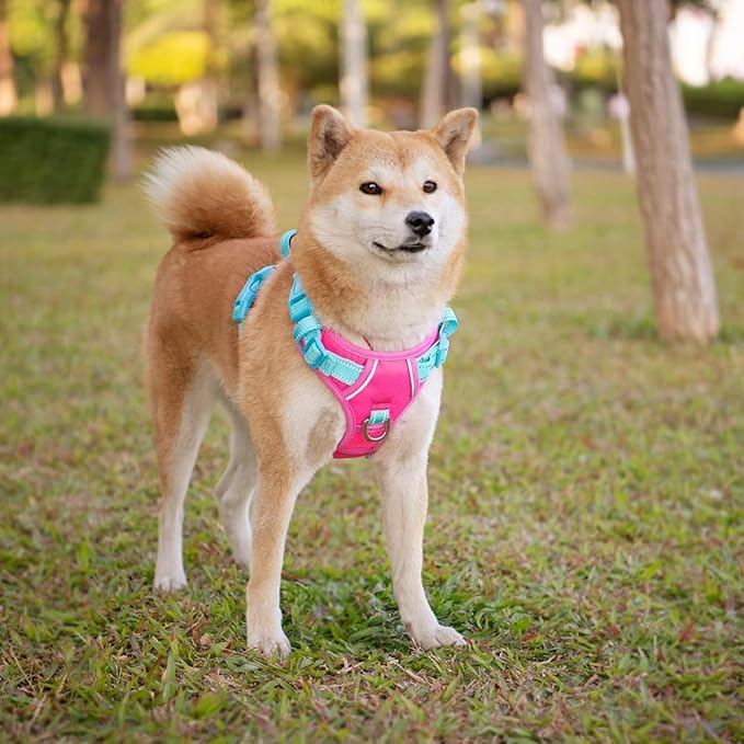 PHOEPET No Pull Dog Harness, Unique Colors Reflective Adjustable Dog Vest, with Soft Training Handle Metal Clips for Small Medium Large Dogs (Pink Base & Green Straps,XL)