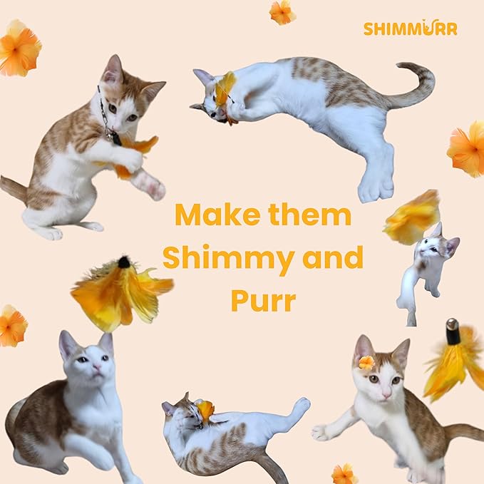 Cat Feather Wand Toy - 38" Retractable Cat Wand Toy with Orange Feather Flower Teaser Refill for Indoor Cats and Interactive Play