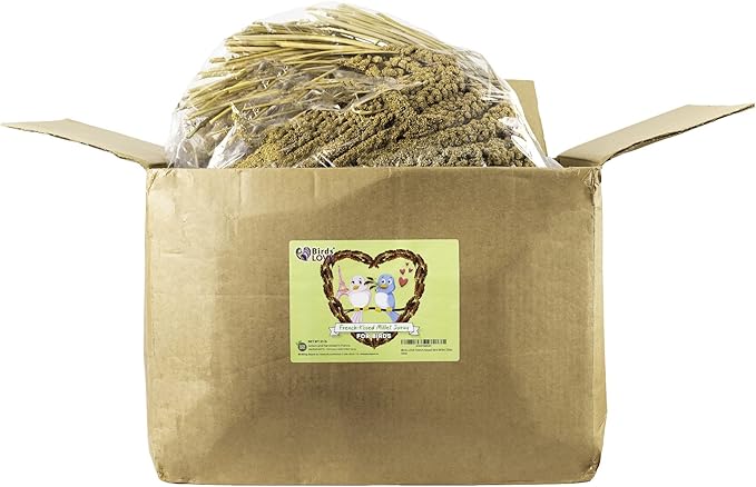 Birds LOVE French Kissed Spray Millet for Birds - Parakeets, Cockatiels, Lovebirds, Finches, Budgies, Canaries, Cockatoos - Natural & Healthy Bird Millet - Parakeet Food & Treats for all Parrots 25lbs