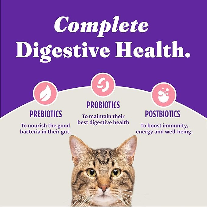 Halo Holistic Cat Food Wild Caught Salmon & Whitefish Formula, Healthy Grains Dry Cat Food, Complete Digestive Health, Kibble for Adult Cats, 10 lb Bag