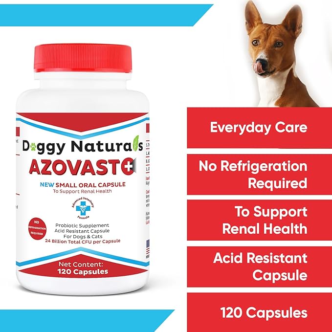 Azovast Plus Kidney Health Supplement for Dogs & Cats, 240ct - NO Refrigeration Required - Help Support Kidney Function & Manage Renal Toxins - Renal Care Supplement Capsule(U.S.A) (240 Caps)