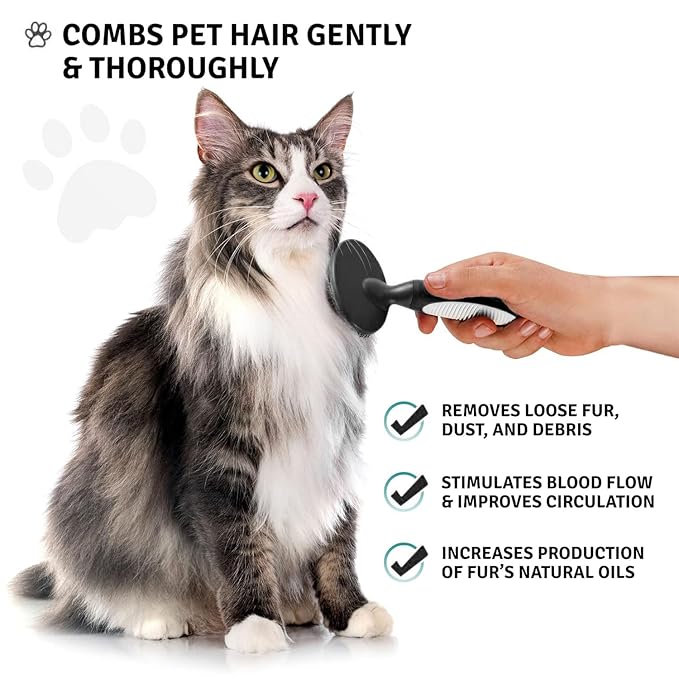 Round Bristle Pet Brush for Dogs and Cats - Soft Dog Brush for Grooming Short or Long Hair - Gentle Tool for Sensitive Skin Removes Dander, Dirt, and Detangles (Black)