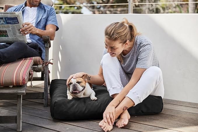 K9 Ballistics Tough Rectangle Pillow XXL Extra Large Dog Bed - Removable Cover, Washable, Durable & Water Resistant Dog Bed Made for Big Dogs 68" x40 Light Gray Velvet