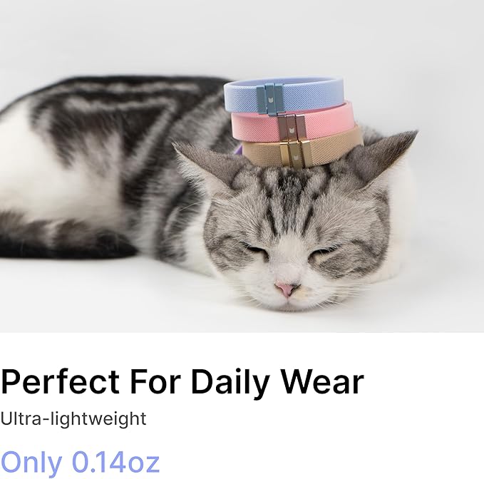 Safety Cat Collar - U.S. IDA Gold Awarding Design, Elastic Quick Release, Non Breakaway - Lightweight for Kitten, Neck Fit 7.8'-15.7' for All Small Large Cat,M(Monet Purple)