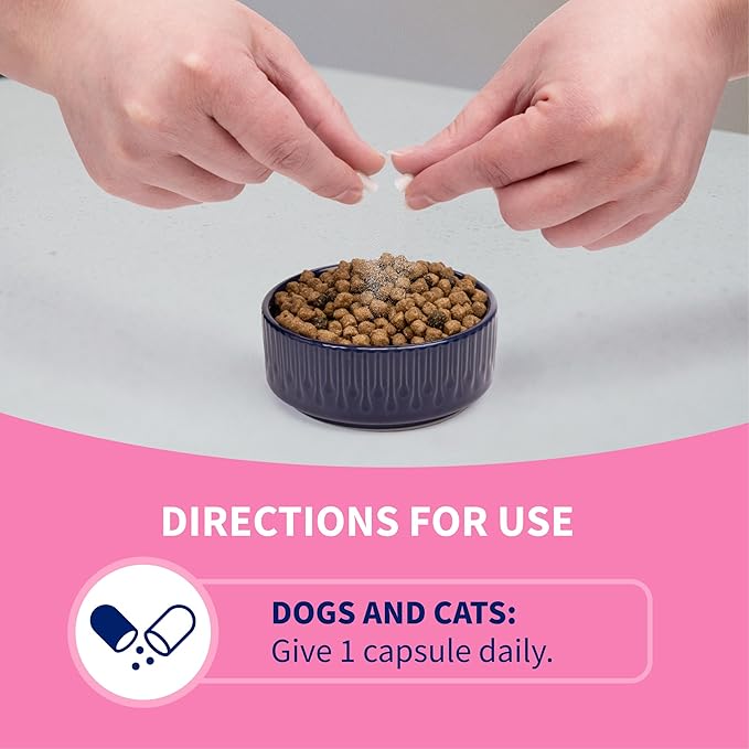 Nutramax Laboratories 30 Count Proviable Health Supplement for Cats and Dogs (PROVDC30)