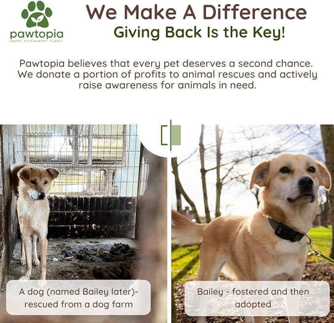 Biodegradable Dog Poop Bags, 60 Count, Certified Home Compostable, Leak-Proof, Easy Open, Standard Size, Supports Sustainable Living