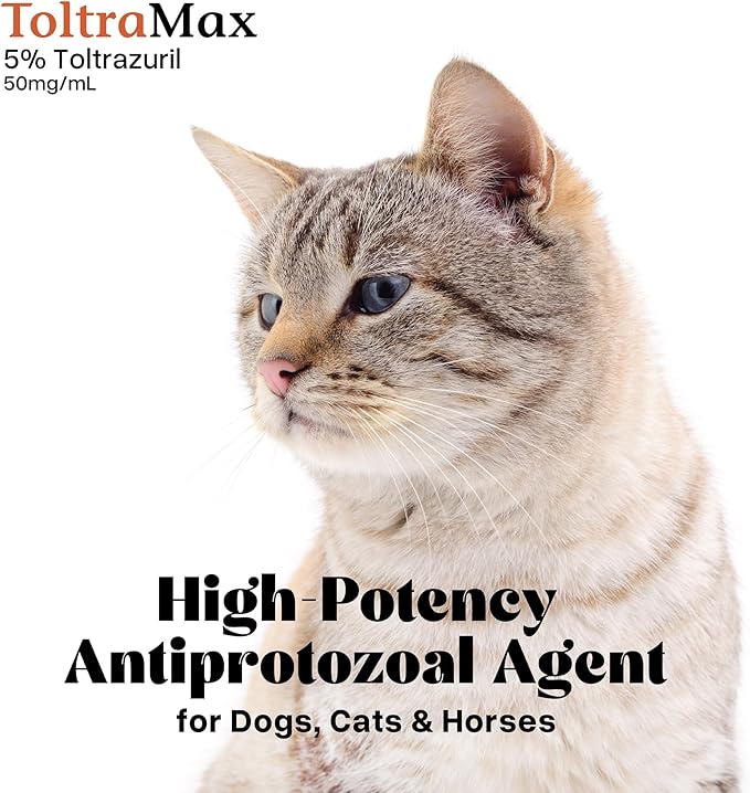 Toltrazuril 5.0% for Horses, Dogs, Cats, 500mL/16.9 Ounce, for Non-Food Chain Animals, Peanut Butter