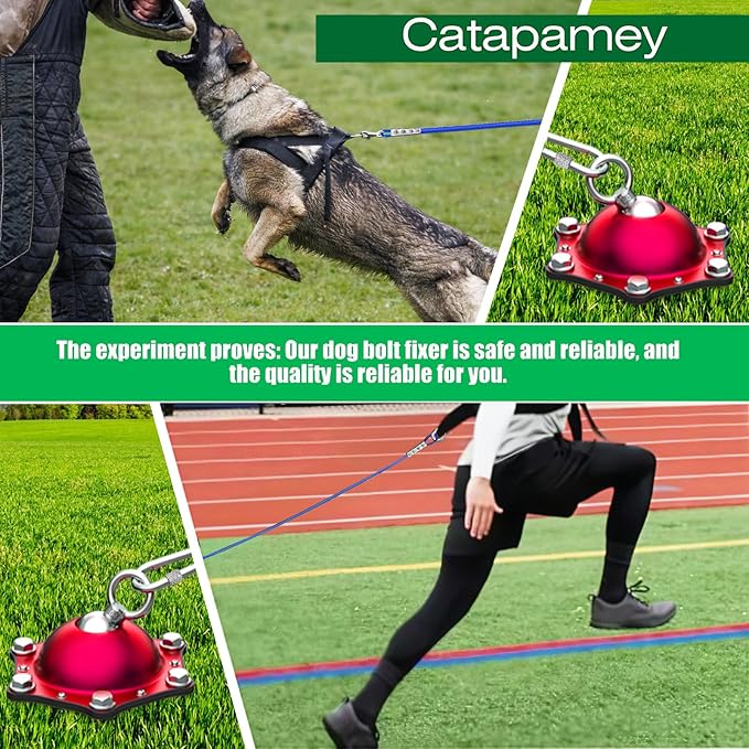 Dog Tie Out Cable and Stake for Yard,(up to 200lbs) 360°Swivel Dog Run Anchors- No Tangle,with 20FT Heavy Duty Tie Out Cable,Runner for Yard,Ideal for Outdoor Camping