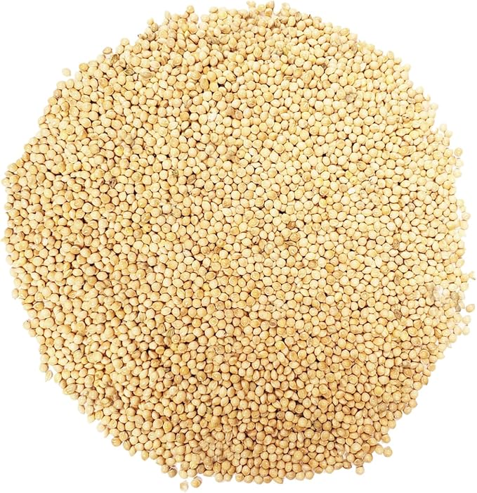 CountryMax White Proso Millet Unhulled Bulk Wild Bird Seed (16 Pounds)