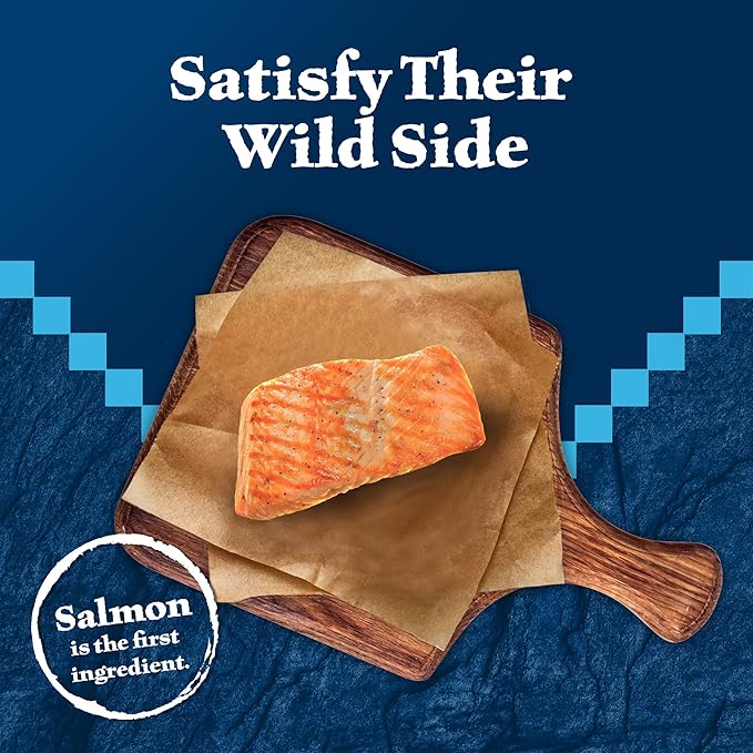 Blue Buffalo Wilderness High Protein Crunchy Cat Treats, Made with Natural Ingredients, Tasty Salmon Flavor, 2-oz Bag (Pack of 12)