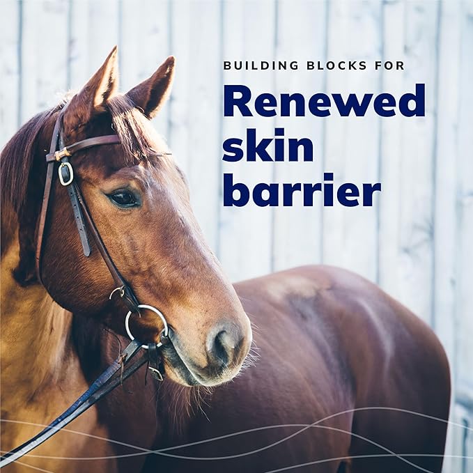 CeraSoothe® CHX+MC Antiseptic Shampoo 16oz