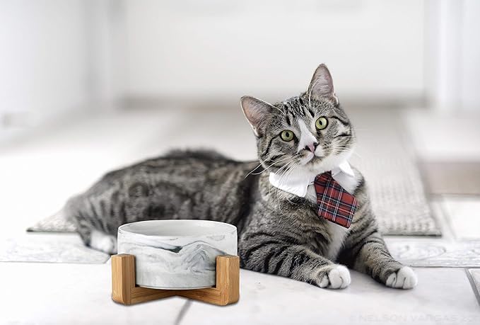 Ceramic Pet Bowls with Stand - Dog Cat Water Bowl and Food Dish -Heavy Weighted & No Tip Over Pet Comfort Feeding Bowls -Dishwasher Safe & Easy to Clean