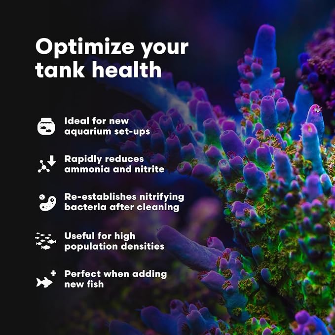 Brightwell Aquatics MicroBacter Start XLM - Concentrated Freshwater Nitrifying Bacteria - Quick Start Fish Tank Starter, Lift Microbe Levels & Water Filtering - Aquarium Water Treatments, 135.2 fl oz