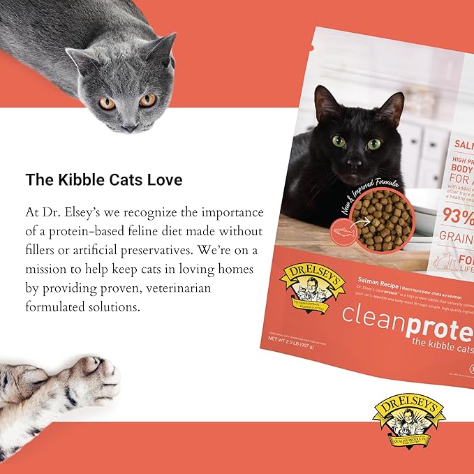 Dr. Elsey'S Cleanprotein Salmon Formula Dry Cat Food, 2 Pound (Pack of 1)