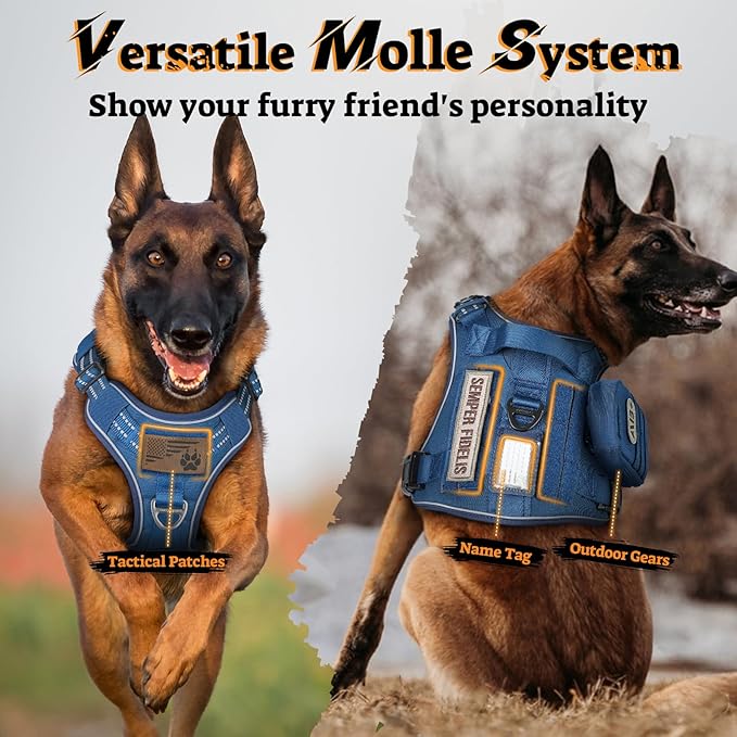 rabbitgoo Dog Harness for Large Dogs No Pull, Tactical Service Pet Vest with Molle and Control Handle, Adjustable and Reflective Military Harness for Easy Walking and Training, Blue, L