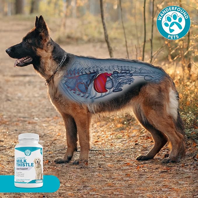 Wanderfound Pets Milk Thistle for Dogs – Tasty Salmon & Bacon Flavored Natural Liver Support for Pets – Kidney Cleanse Detox & Repair Formula Manufactured in The USA – 100 Chewable Tablets