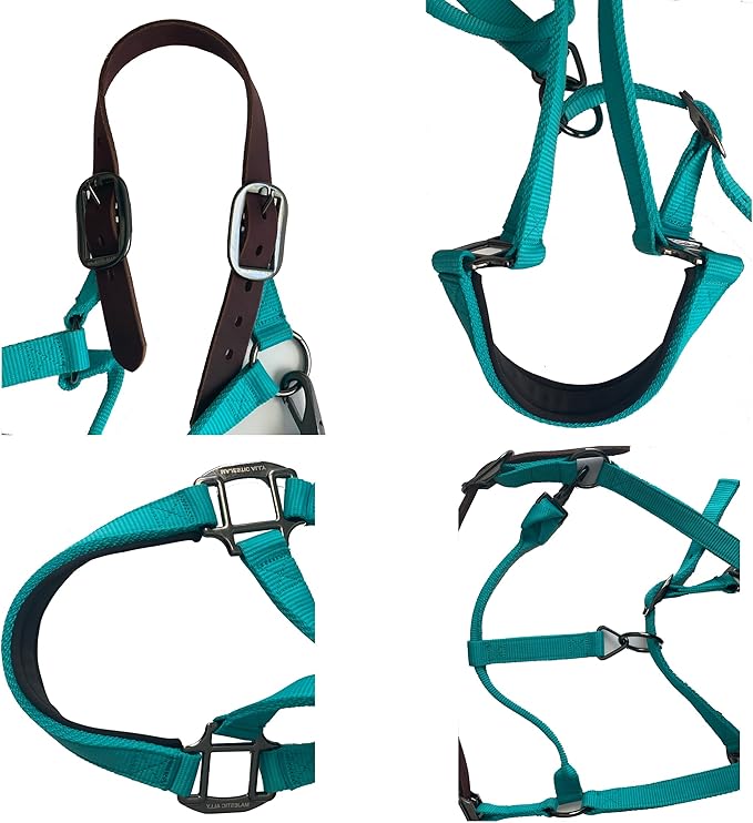 Majestic Ally Leather Halter with Matching Lead Rope for Horses – Leather Breakaway Crown - Adjustable Chin Strap – Rolled Throat Latch – Padded Noseband – Full (Red, Full)