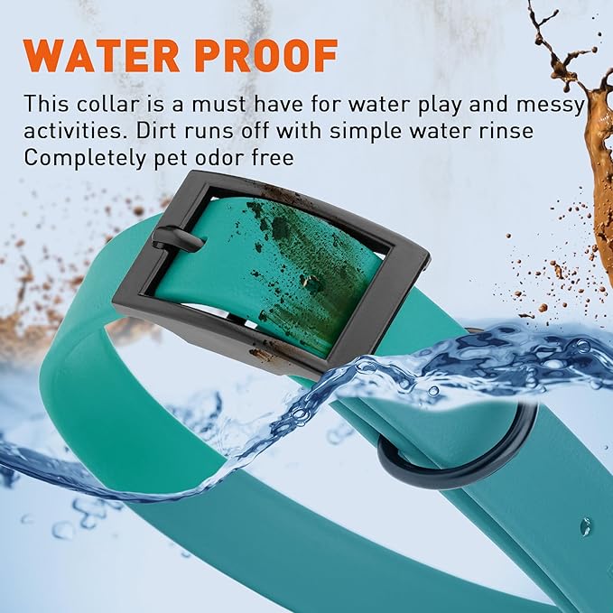 Dogline Biothane Waterproof Dog Collar Strong Coated Nylon Webbing with Black Hardware Odor- Proof for Easy Care Easy to Clean High Performance Fits Small Medium or Large Dogs, Blue Aqua