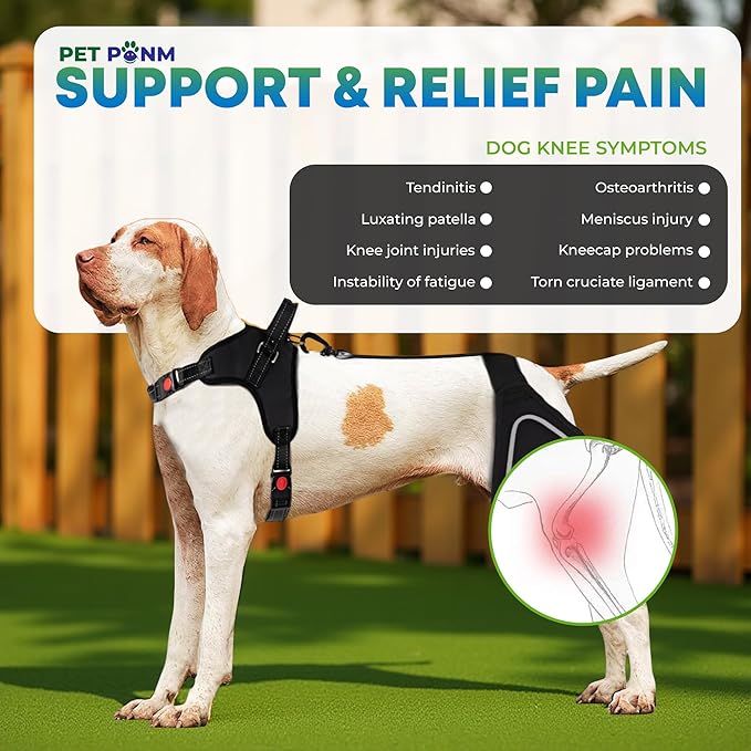Comfortable Dog Knee Brace for Both Hind Legs with Harness - for ACL Tear, Luxating Patellae, Osteoarthritis & Instability - for Recovery & Injury Prevention in Active/Aging Dogs - (XSmall)