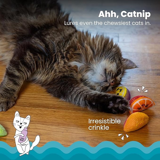 Catstages Dental Fruit Wedges 4 Pk, Soft and Textured Catnip Chew Toys That Help Clean Teeth, Multicolored