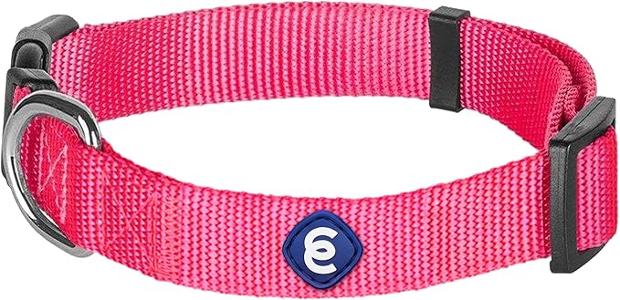 Blueberry Pet Essentials Medium Dog Collar in French Pink | Adjustable & Eco-Friendly Durable Nylon Strap | Classic Collar for Medium Dogs, Boy & Girl Pets