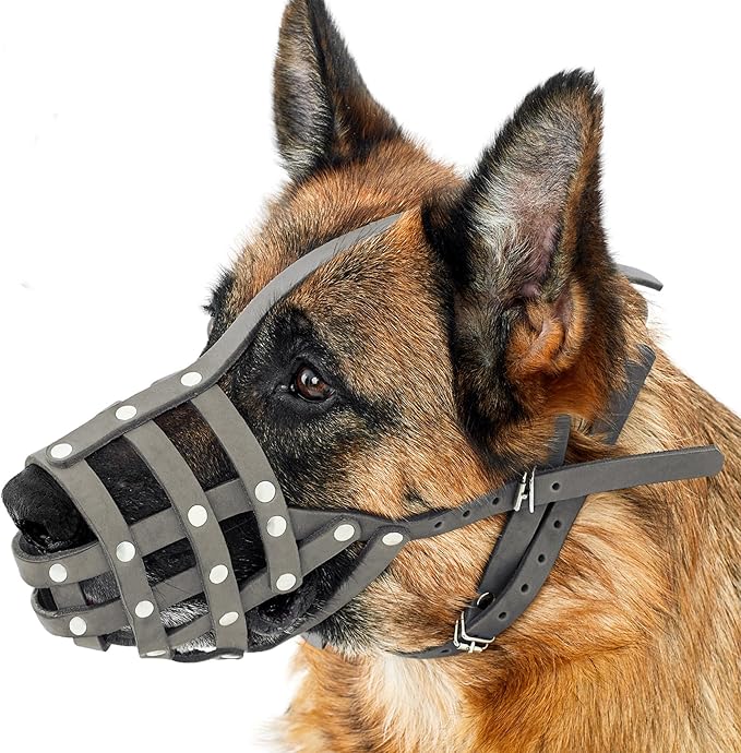 CollarDirect Dog Muzzle German Shepherd Dalmatian Doberman Setter Leather Basket Medium Large Breeds (Grey, Medium)