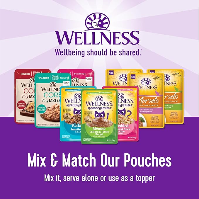 Wellness Healthly Indulgence Gravy Adult Wet Cat Food, Natural, Protein-Rich, Grain Free, 3 Ounce Pouch, 24 Pack, (Chicken & Turkey)