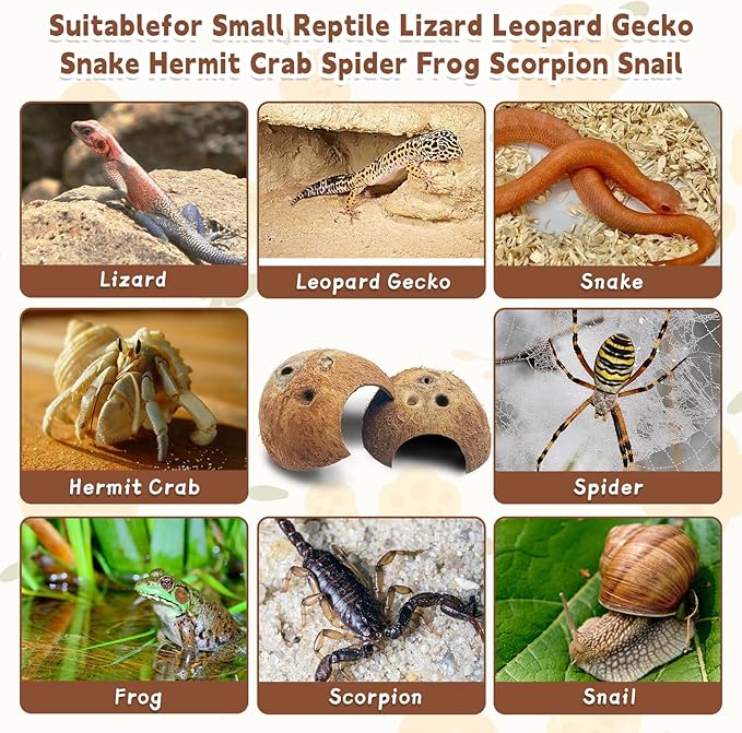 PINVNBY Natural Coconut Reptile Hideouts Lizard, Coco Hut Hermit Crab Hut Aquarium Fish Hide Cave for Small Reptile Crested Gecko Leopard Gecko Spider Snail Climber Toys (2 PCS Natural Surface)