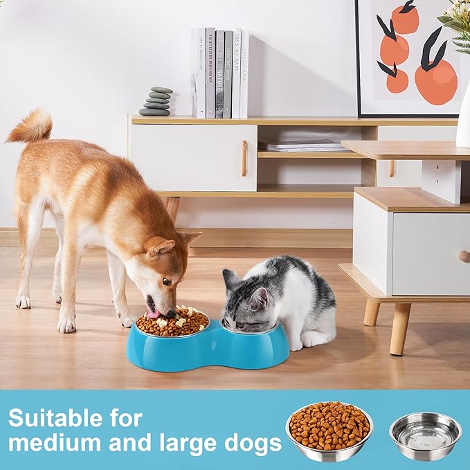 Elevated Dog Bowls Set - Non-Slip Raised Pet Feeder with Medium (2 Cups) & Large (4 Cups) Stainless Steel Bowls - Includes Durable Resin Stand for Puppies, Adult Dogs & Cats - Blue