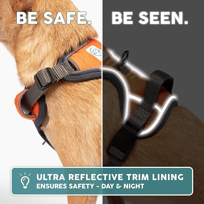 Embark Adventure Dog Harness, Reflective Trim No Pull Dog Harnesses for Small Sized Dogs - Military Grade Nylon, Front Clip with Gel Lined Handle.