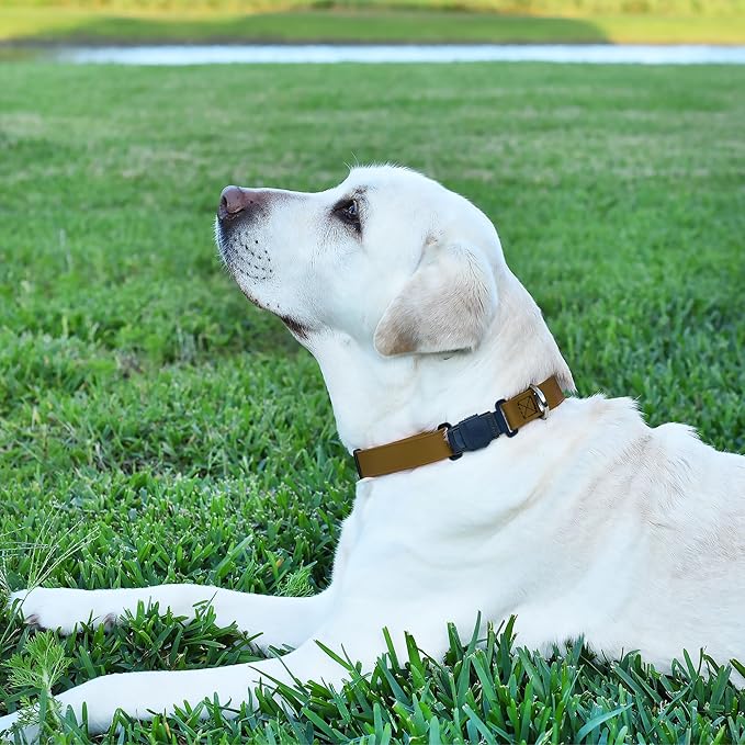 Dogline Biothane Waterproof Dog Collar with Herm Sprenger Stainless Steel Quick Release Buckle – Heavy Duty Tactical Durable Collar for Dogs – Comfortable and Safe Pet Collar, W 1" L 15-25", Brown