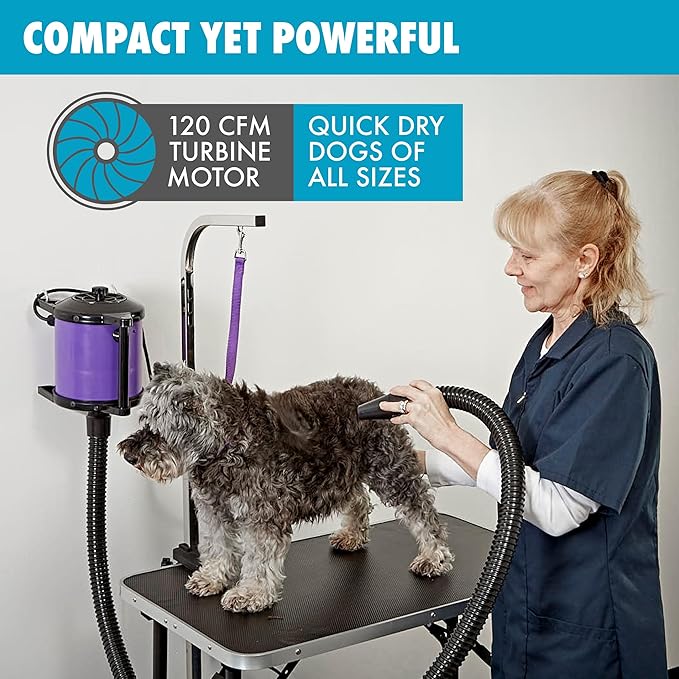 GustyAir Mini Dog Blow Dryer - Professional, Commercial Grade Force Dryer for Groomers - Quiet, High Velocity Air Dryer, Hose Attachments, Variable Speed, No Heating Element - USA Company - Purple