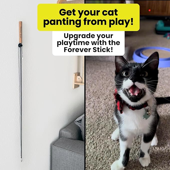 Forever Stick - The Unbreakable Cat Toy Wand, Extra Long Durable Interactive Cat Toy for Indoor Cats, Feather Kitten Toys for Bored Indoor Adult Cats, Bird Teaser Cat Accessories Enrichment