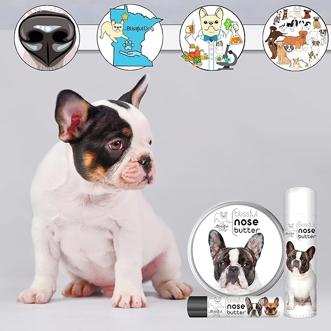 The Blissful Dog French Bulldog Pied Unscented Nose Butter - Dog Nose Butter, 4 Ounce